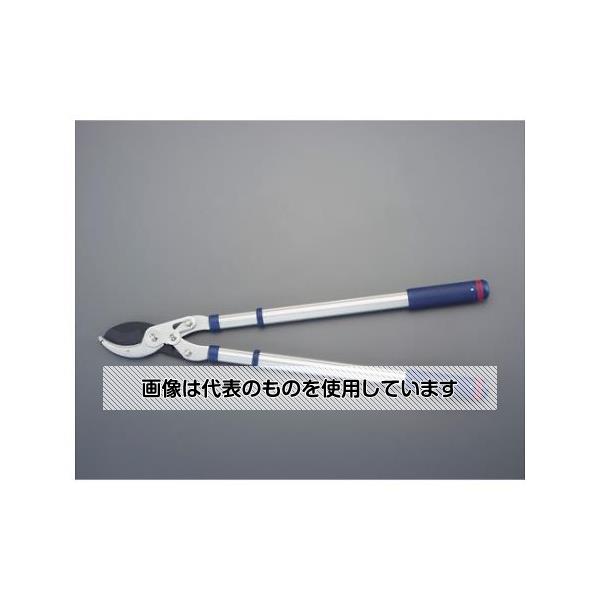 Thermometers - アズワン(AS ONE) 480-1020mm 枝切鋏(伸縮柄) EA650AC-86 入数：1個