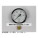 長野計器 普通形圧力計(Φ75) 立形A枠 蒸気用 2MPa AC20-181 入数:1個(4)