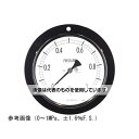 長野計器 普通形圧力計(Φ100) 埋込形D枠(取付穴) 100MPa AE15-243 入数:1個(4)