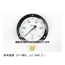 アズワン(AS ONE) 普通形圧力計(Φ100) 立形B枠 耐振用 1MPa AE20-231 入数：1個