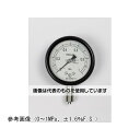 長野計器 密閉型圧力計(60Φ) 立形A枠 0.25MPa BA10-123 入数:1個(4)