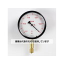 長野計器 密閉型圧力計(100Φ) 真空計(負圧計) 立形A枠 -0.1~0MPa BE10-131 入数:1個