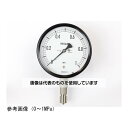 長野計器 密閉型圧力計(100Φ) 立形A枠 耐熱・耐振用 0.6MPa BE10-133 入数:1個(4)