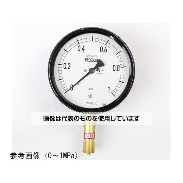 Ĺ��״� ̩�ķ����Ϸ�(100��) ���� Ω��A�� 1MPa BE12-131 ������1��