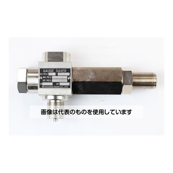 長野計器 ゲージセーバ G1/2×G1/2B SUS FG10-443 入数：1個