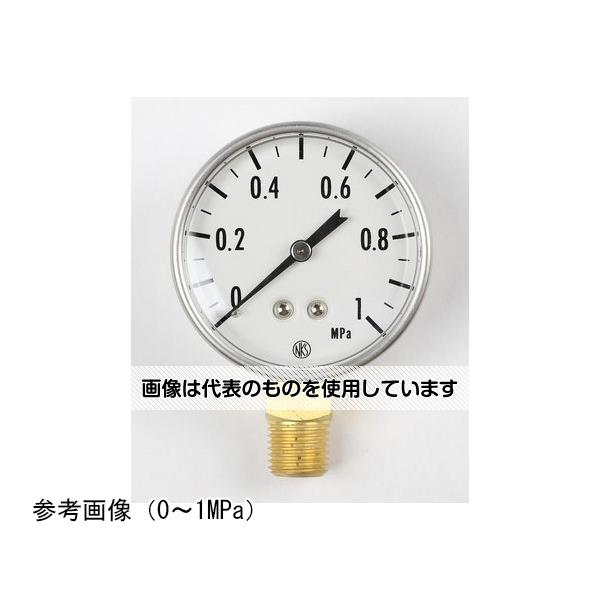 長野計器 小型圧力計(50Φ) 2.5MPa GK20-271 入数：1個