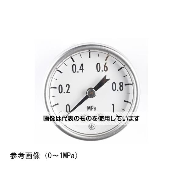 長野計器 小型圧力計(40Φ) 1MPa GK25-161 入数：1個