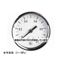 長野計器 小型圧力計(50Φ) 0.2MPa GK69-171 入数:1個(4)