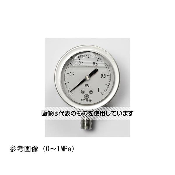 長野計器 グリセリン入圧力計(60Φ) 0.2MPa GV50-173 入数：1個