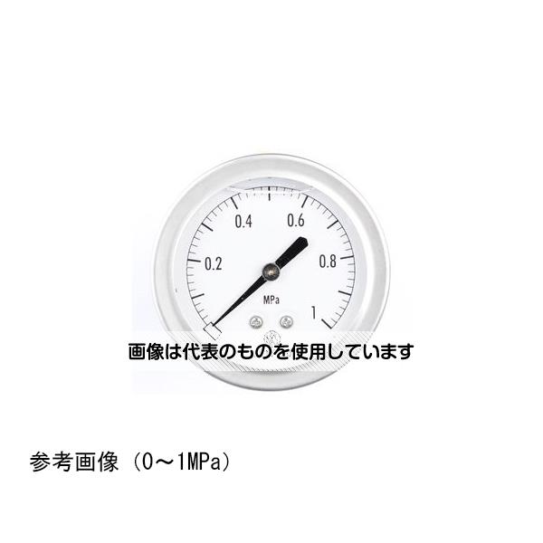 長野計器 グリセリン入圧力計(60Φ) 0.3MPa GV55-673 入数：1個 1