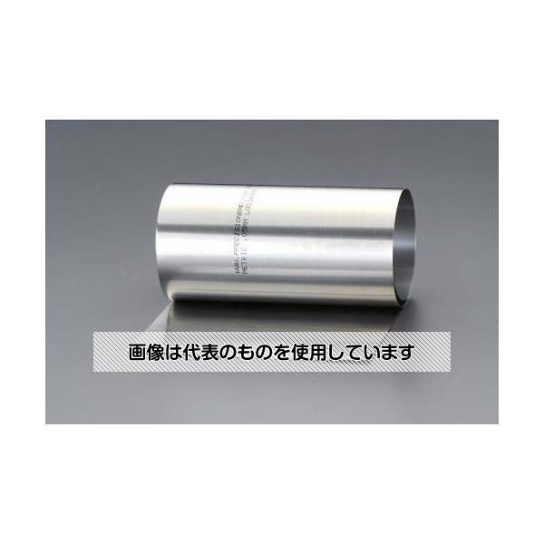 【アズワン AS ONE】実験室設備 工具類 工具、道具 商品の仕様 ●サイズ：150mm×1.25m ●厚み：0.3mm ●許容差：±0.03mm ●材質：SUS302 ●重量(g)：558 【※ご注意ください】商品は代表の画像を使用しています。
