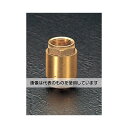 エスコ G 2" ねじ付逆止弁 EA465L-20 入数:1個