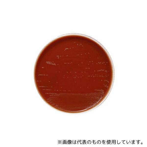 ベクトン・ディッキンソン 251138 BD BBL(TM) BYチョコレート寒天培地 20枚