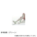 グンゼ KBS001-L LEG SCIENCE(レッグサイエンス) ブルー L 10足入(4)