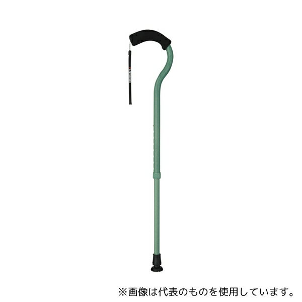 フジホーム WB3883 フラミンゴN 伸縮 フォレストグリーン