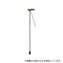 ひまわり VH4403 4つ折伸縮ステッキ(ささえ雨にも負けず) シルバー