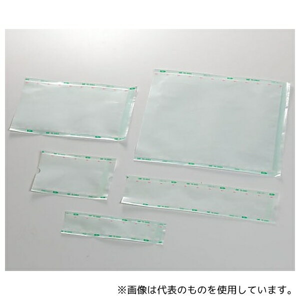 日油技研工業 TS-3004C250 HPsp(R)滅菌バッグワンシールタイプ(AC/EOG両用)