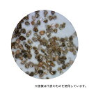 秋山産業 A-60 ASアルミナ(ブラスト用研削材) 褐色・F60相当