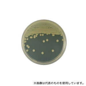 ベクトン・ディッキンソン 252109 BD BBL(TM) ブレインハートインフュージョン寒天培地 20枚