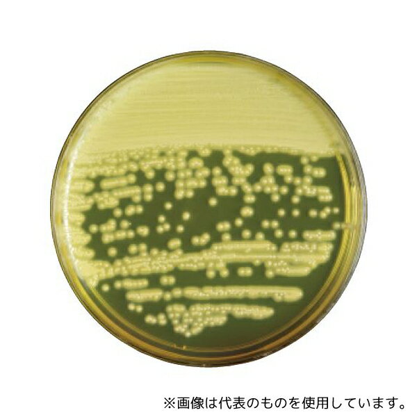 ベクトン・ディッキンソン 251977 BD BBL(TM) 卵黄加マンニット食塩寒天培地 20枚