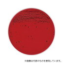 ベクトン・ディッキンソン 252484 BD BBL(TM) アネロコロンビアRS血液寒天培地 10枚