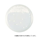 ベクトン・ディッキンソン 251359 BD BBL(TM) サブローデキストロースCG寒天培地 20枚