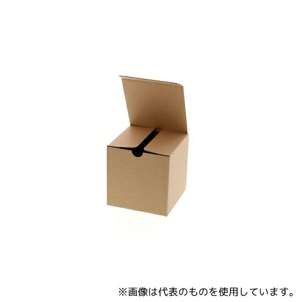 HEIKO 6200110 ナチュラルボックス Z-1 無地 10枚