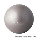 エレコム HCF-BB65GY バランスボール 65cm