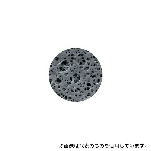 GVS 1225882 メンブレン シート 200×200mm PES 0.45μm 1箱(5枚入)