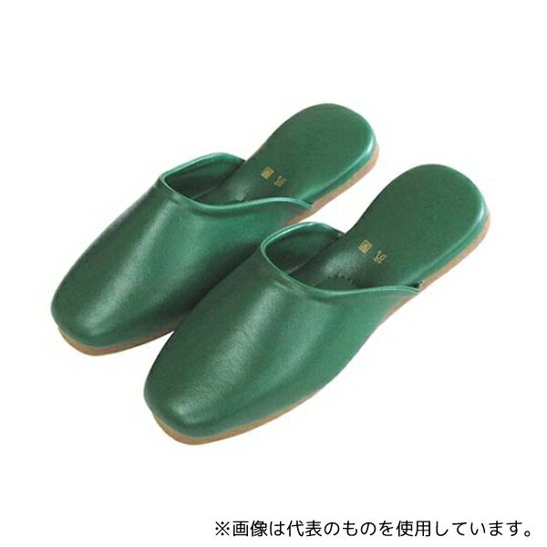 アズワン 7756700 抗菌 スリッパ クラウンSP 1076 グリーン