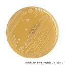 島津ダイアグノスティクス 51038 アキュレート変法GAM 10枚