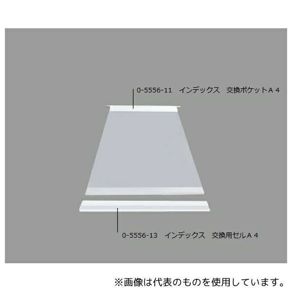 アズワン SR-210 インデックス 交換ポケットA4 1袋(10枚入)