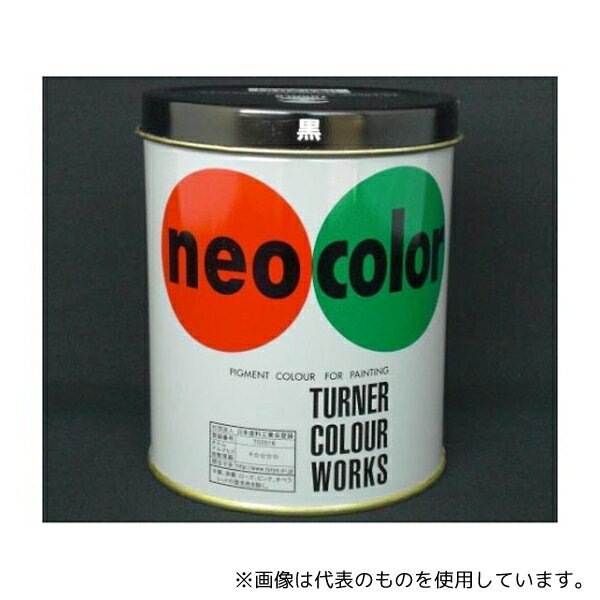 ターナー 600mlカンイリ・センモンカヨウ ネオカラー 600ml缶入(インク色:黒)