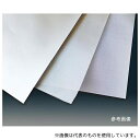 フロンケミカル NR0596-003 フィルター金網メッシュ 80/600(4)