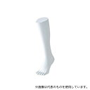 ストア・エキスプレス 61-188-8-3 5本指ソックス用ディスプレー 婦人ハイソックス用