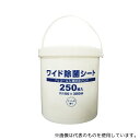 歯愛メディカル ワイド除菌シート 1個(250枚入)(4)