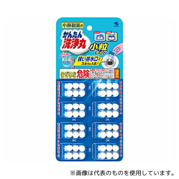 小林製薬 かんたん洗浄丸 小粒タイプ