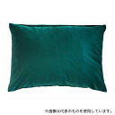 GAC D.C.体交クッション(枕型MINI)1組(2個入)