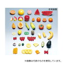 イワイサンプル 2月23日 フードモデル(果実類) キウイフルーツ90g(4)