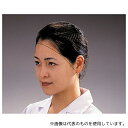 パル T20663 パル ヘアーネット 100枚入 Mサイズ(3)