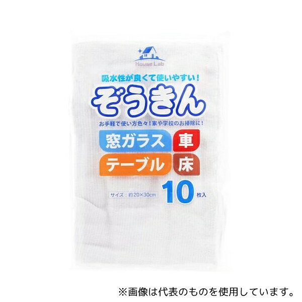 addgood HouseLab ぞうきん 10枚