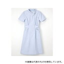 ナガイレーベン CA1707 看護衣半袖 ブルー L