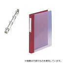 LIHITLAB HB417-5 カルテブック A4・4穴・クリヤー レッド