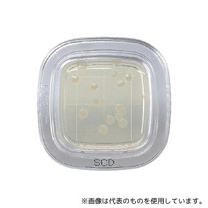 栄研化学 PD0023 ぺたんチェック?DD SCD寒天培地 1箱(20枚入)