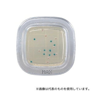 栄研化学 PD0007 ぺたんチェック?DD MAX寒天培地 1箱(20枚入)