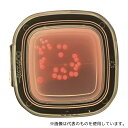 極東製薬工業 4211 DDチェッカー(細菌検出用培地) デオキシコレート寒天培地 大腸菌群検出用 1箱(100枚入)