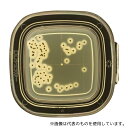 極東製薬工業 4251 DDチェッカー(細菌検出用培地) TGSE寒天培地 黄色ブドウ球菌検出用 1箱(100枚入)