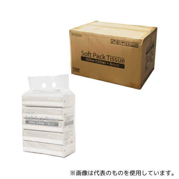  WS6300 եȥѥåƥå 1Ȣ(120)