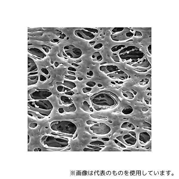 ߥץDIYŹեȤ㤨Merck GPWP09050 Millipore Express PLUS disc PES philic 0.22m 90mm 50/Pk 50PKפβǤʤ48,290ߤˤʤޤ