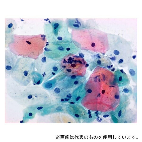 Merck 1.09253.0500 パパニコロウ染色液 1a、 ハリスヘマトキシリン パパニコロウ染色用 109253 500ML